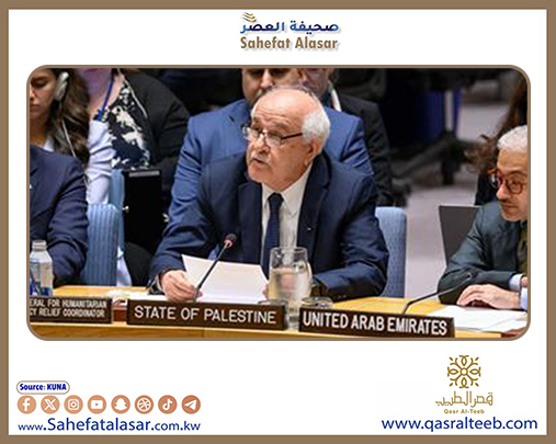 المجموعة العربية بالأمم المتحدة: ما يحدث في غزة أزمة إنسانية تتطلب عملا عاجلا من المنظمة..