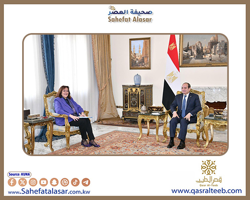 مصر تؤكد أهمية التعاون مع الاتحاد الأوروبي لمعالجة أسباب الهجرة غير الشرعية..