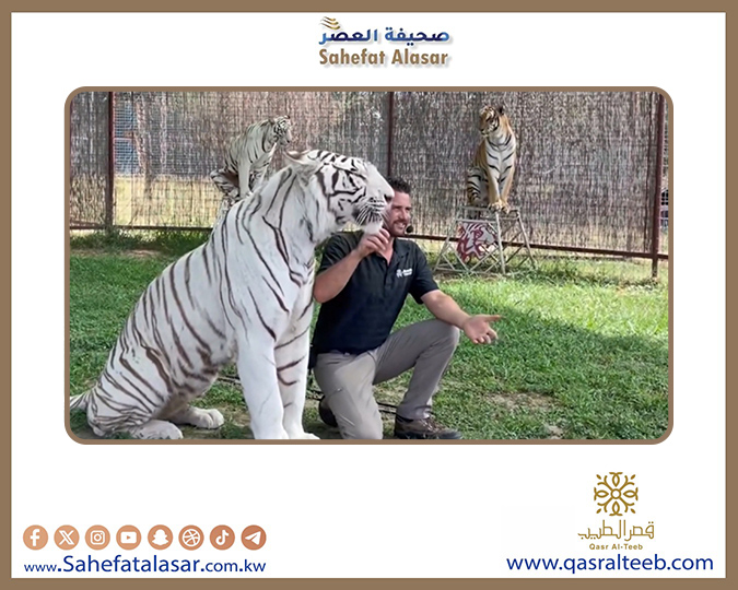 نمر يفترس مدربه خلال عرض جماهيري..