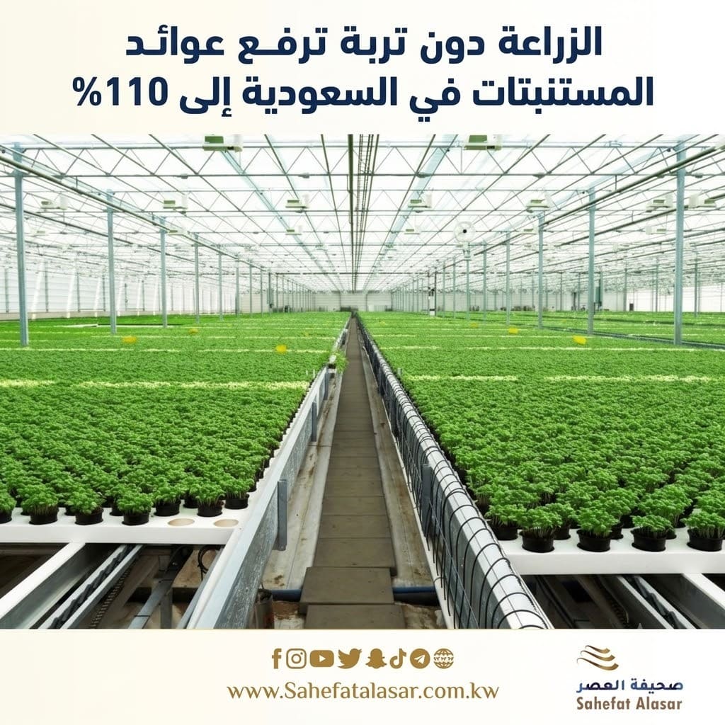 الزراعة دون تربة ترفع عوائد المستنبتات في السعودية إلى 110%..